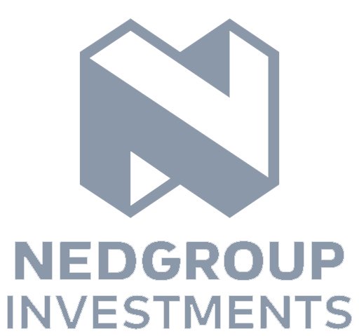 nedgroup investments 